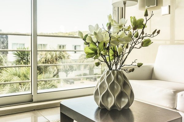 The best plants for indoor air purification